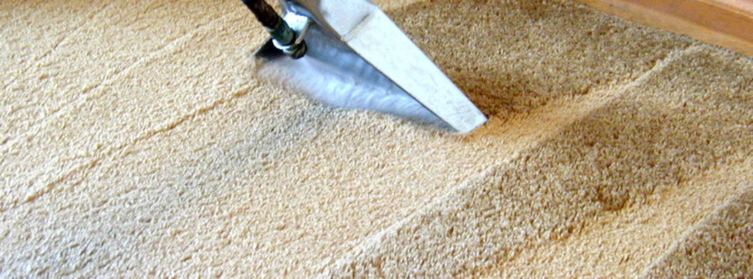 Carpet Cleaning Service